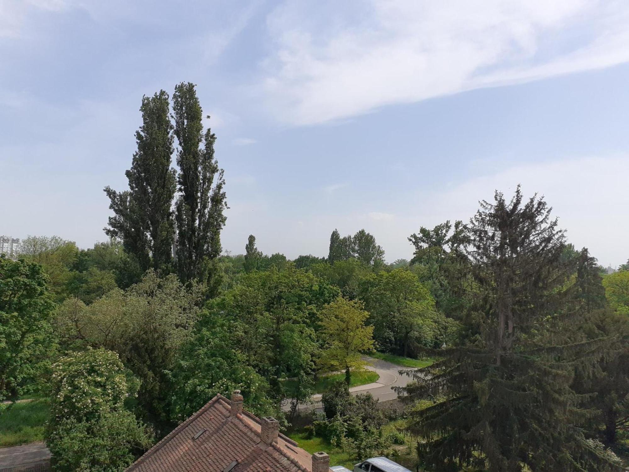 Appartement Sur Les Bords De L'Ill Estrasburgo Exterior foto